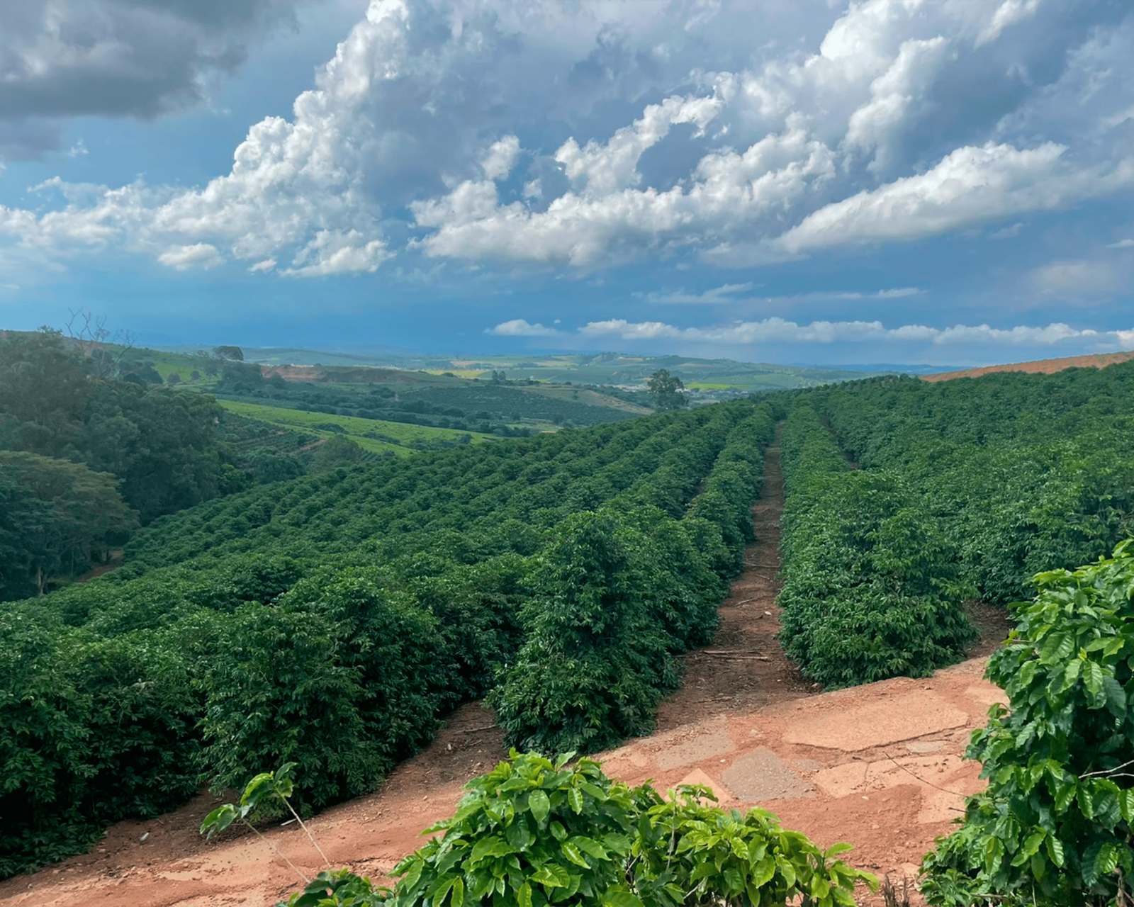 Imagem do WhatsApp de 2025-02-12 à(s) 08.47.11_df041a1d